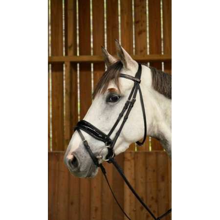 Dy'on Working Patent Large Crank Noseband Bridle With Flash