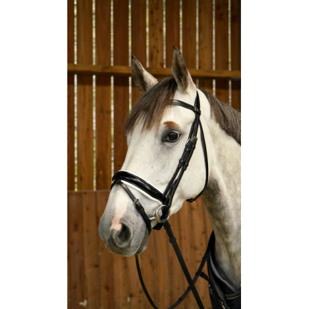 Dy'on Working Patent Large Crank Noseband Bridle With White Padding And Flash