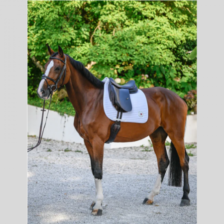 Tapis de selle TH Dressage Upstate