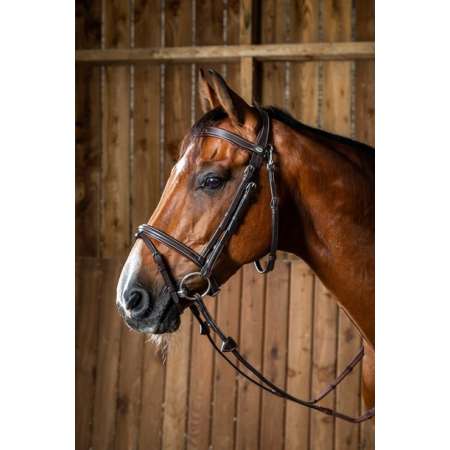 Dy'on Working Flash Noseband Bridle With Snap Hook