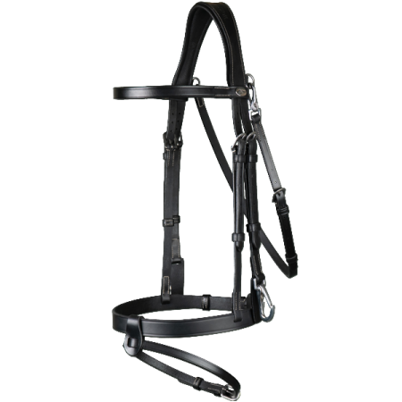 Dy'on Working Flat Leather Bridle With Snap Hooks