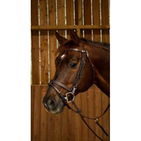 Dy'on Working Flat Leather Bridle With Snap Hooks