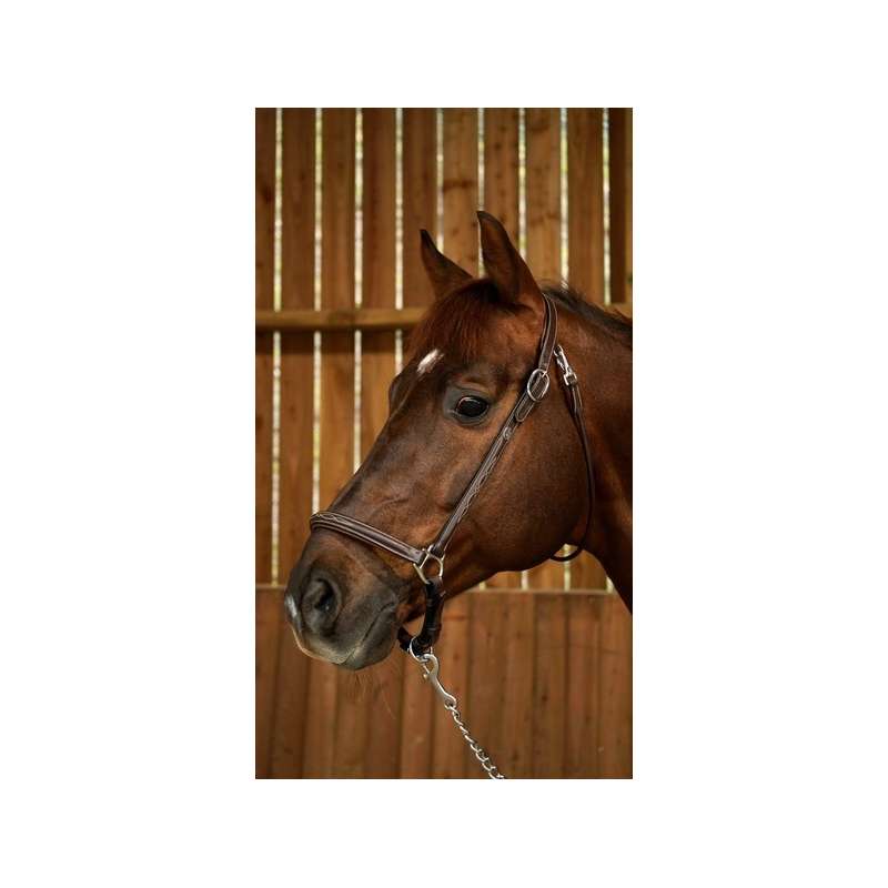 Dy'on Working Licol Pansage