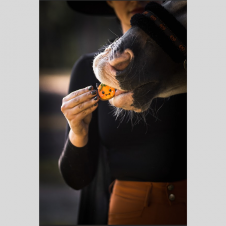HALLOWEEN - COOKIES1