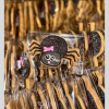 HALLOWEEN - COOKIES3