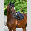 BOSS Equestrian Glitter oornet