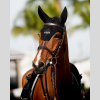 Polias Fly Veil