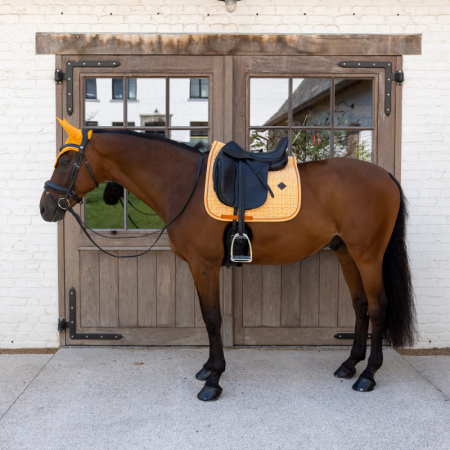 Tapis de Selle Velours Edition Signature Dressage