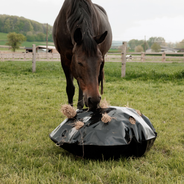 Hooinet Play & Haybag Slowfeeder Rond