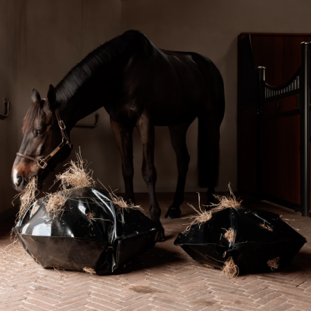 Play & Haybag Round Slowfeeder Hay Net