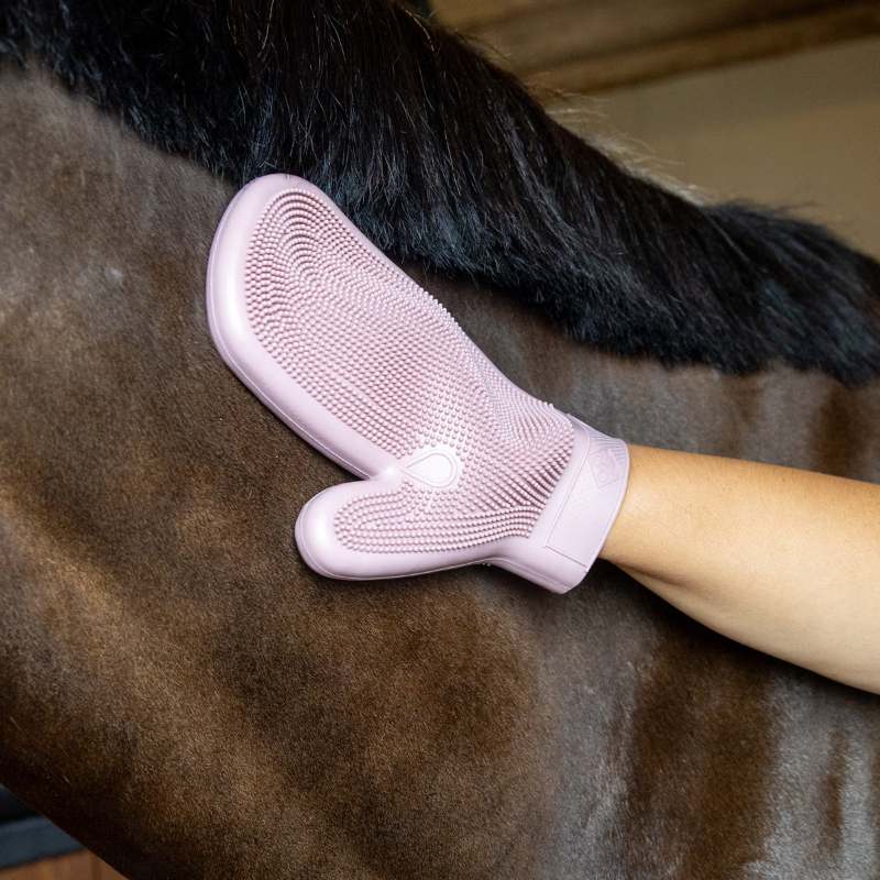 Rubber Grooming Glove Rubber Grooming Glove