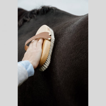 Brosse Douce à Éclat