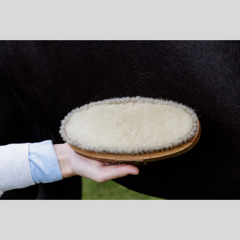 Zachte Glansborstel Zachte Glansborstel