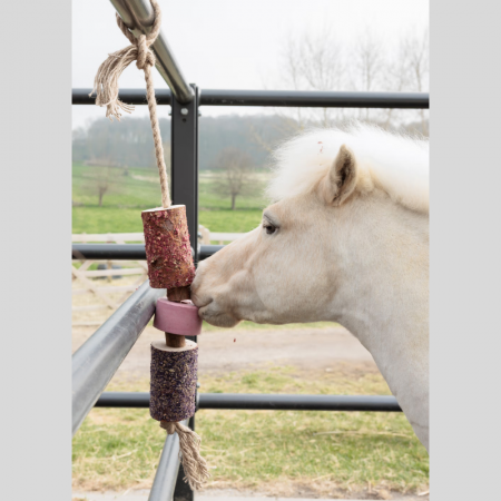 Natuurlijk Paardenspeelgoed