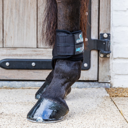 Eventing Boots 3D Air Flow Skin Friend Hind Short