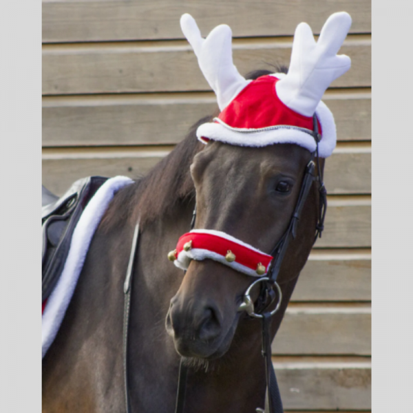Bonnet de renne Noël