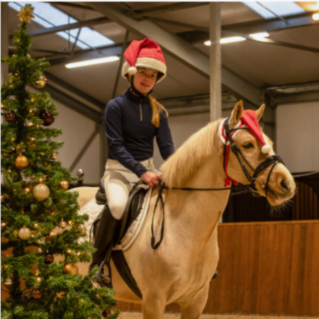 Kersthoed voor Paard