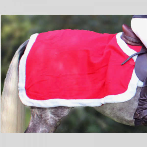 Kerstuitrijdeken voor Paard