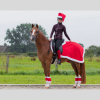 Christmas Exercise Sheet for Horses
