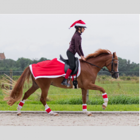 Kerstuitrijdeken voor Paard