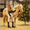 Chaussettes d'équitation Noël (lot de 2)