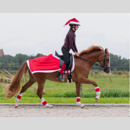 Bonnet de Noël pour casque