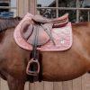 Velvet Sammy Saddle Pad