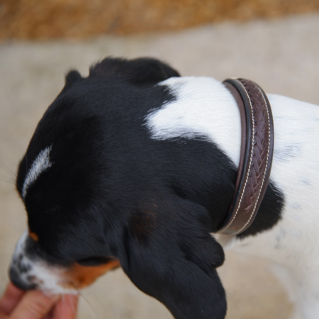 Gevlochten Leren Halsband