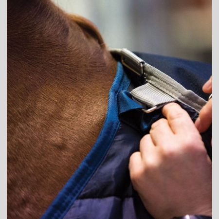 Horseware® Liner 300GR