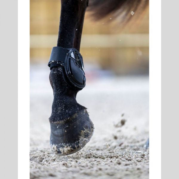 Cordial – Tendon Boots with Hard Shell and Interchangeable Proconfort Linings