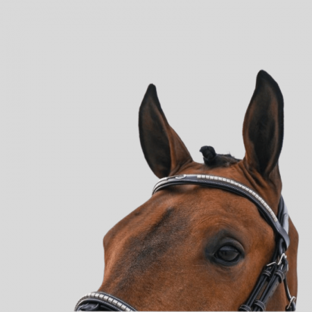 Bridon Clincher - Collection One Premium