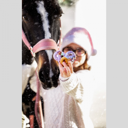 Pretzels Candy – Horse Edition Christmas