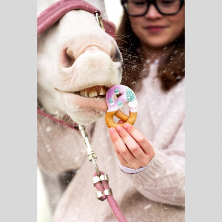 Pretzels Candy – Horse Edition Christmas