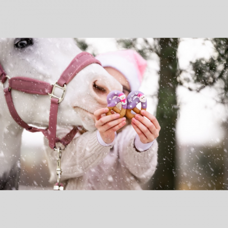 Pretzels Candy – Horse Edition Christmas