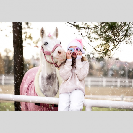 Donuts Candy – Horse Christmas Edition