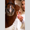 Cookie 4 Candy – Horse Édition Noël