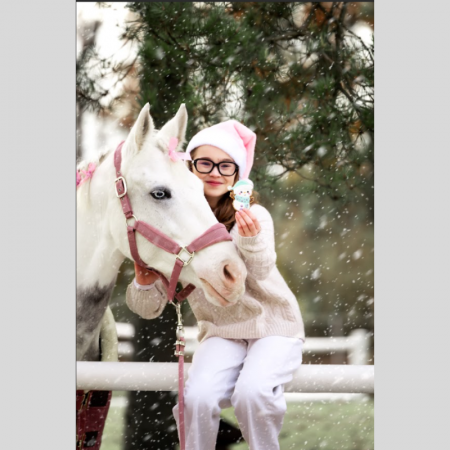 Cookie 6 Candy – Horse Kersteditie