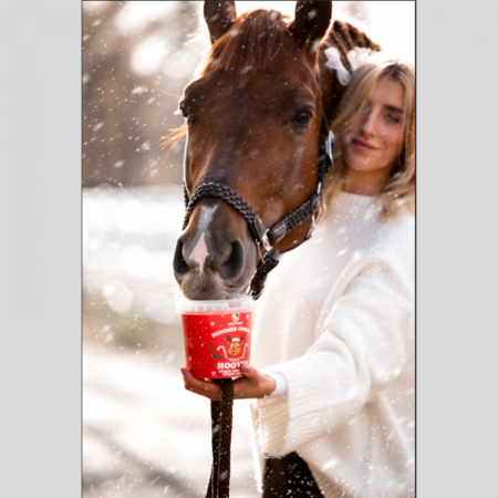 Hoovers Reindeer Cookies – Candy Horse Christmas Edition
