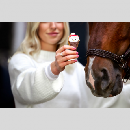 Tarte Candy – Horse Christmas Edition