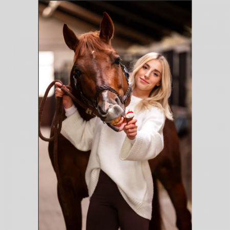 Tarte Candy – Horse Christmas Edition