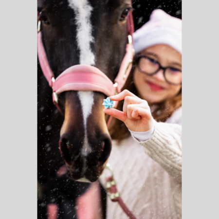 Sweet Candy – Horse Christmas Edition