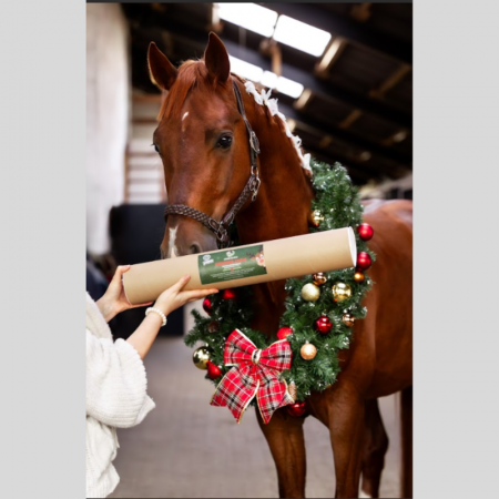 Jouet en bois Edition Noël