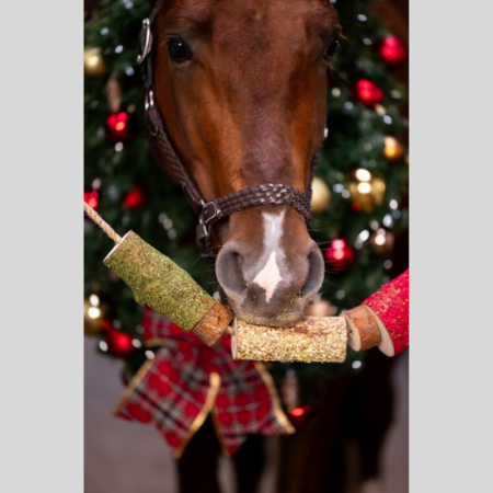 Jouet en bois Edition Noël