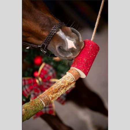 Jouet en bois Edition Noël