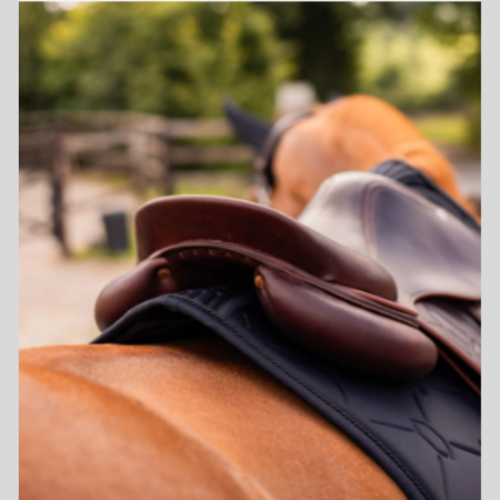 Samshield Spineshield Strass Saddle Pad