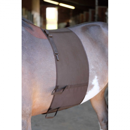 Bande de respect NORTON