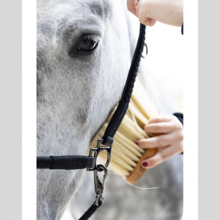 Dialou – Grooming Halter