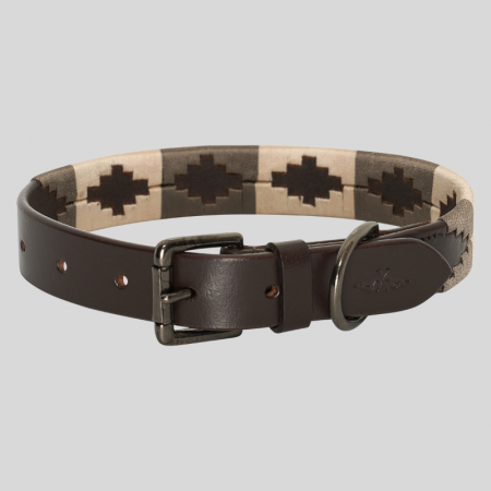 HVP-Chaya Dog Collar