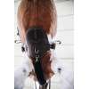 Sangle Bavette Courte
