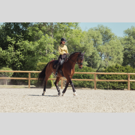 Bicross Mattgloss Heritage 25/26 Saddle Pad